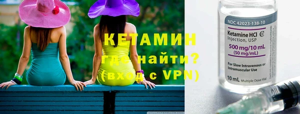 индика Аркадак