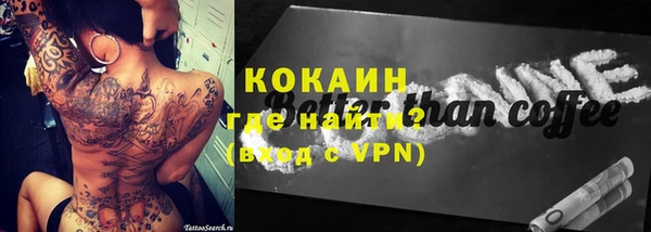 индика Аркадак