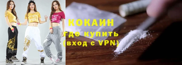 индика Аркадак