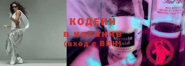 индика Аркадак