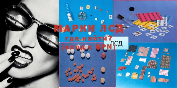 индика Аркадак