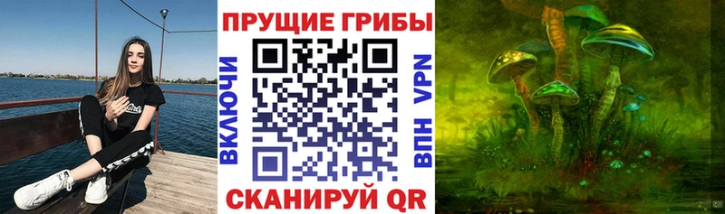 Псилоцибиновые грибы GOLDEN TEACHER  Слободской 